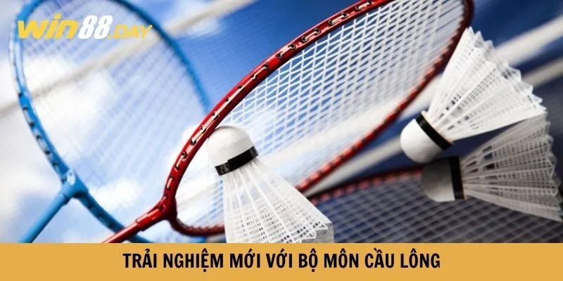 Cá cược cầu lông giúp bạn có những trải nghiệm mới tại thể thao 